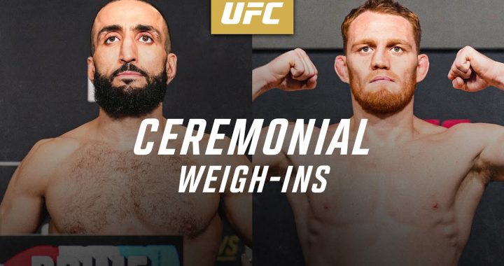 UFC 315
